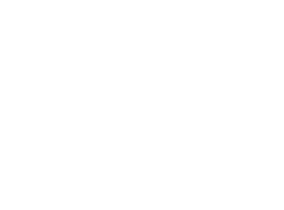 Nexus Stockholm logotyp